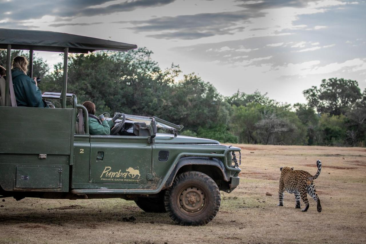 Pumba Private Game Reserve Grahamstown Extérieur photo