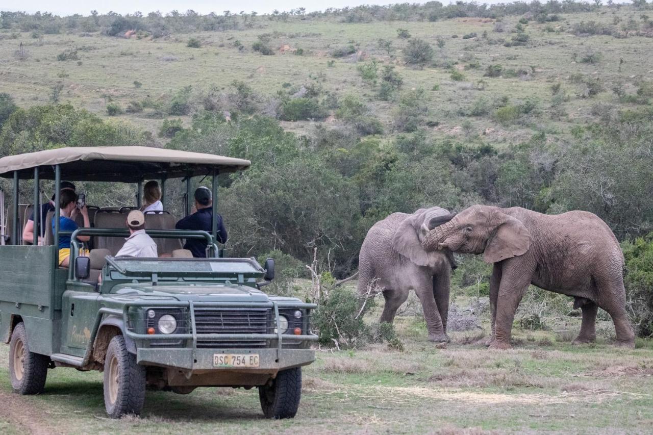 Pumba Private Game Reserve Grahamstown Extérieur photo