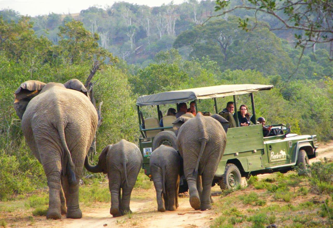 Pumba Private Game Reserve Grahamstown Extérieur photo
