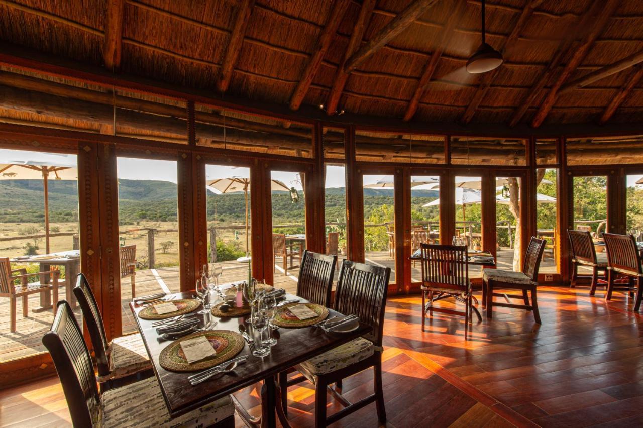 Pumba Private Game Reserve Grahamstown Extérieur photo
