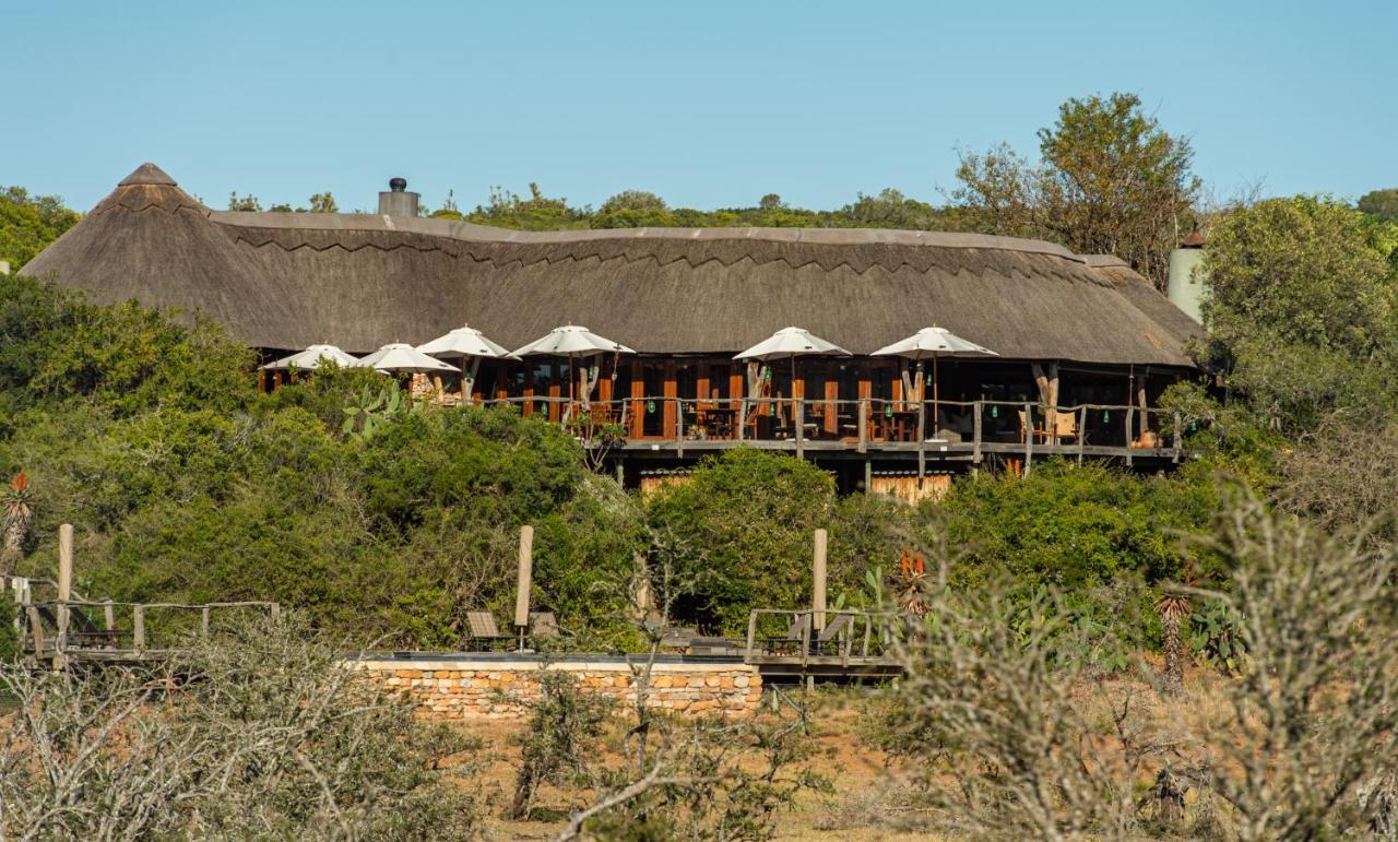 Pumba Private Game Reserve Grahamstown Extérieur photo