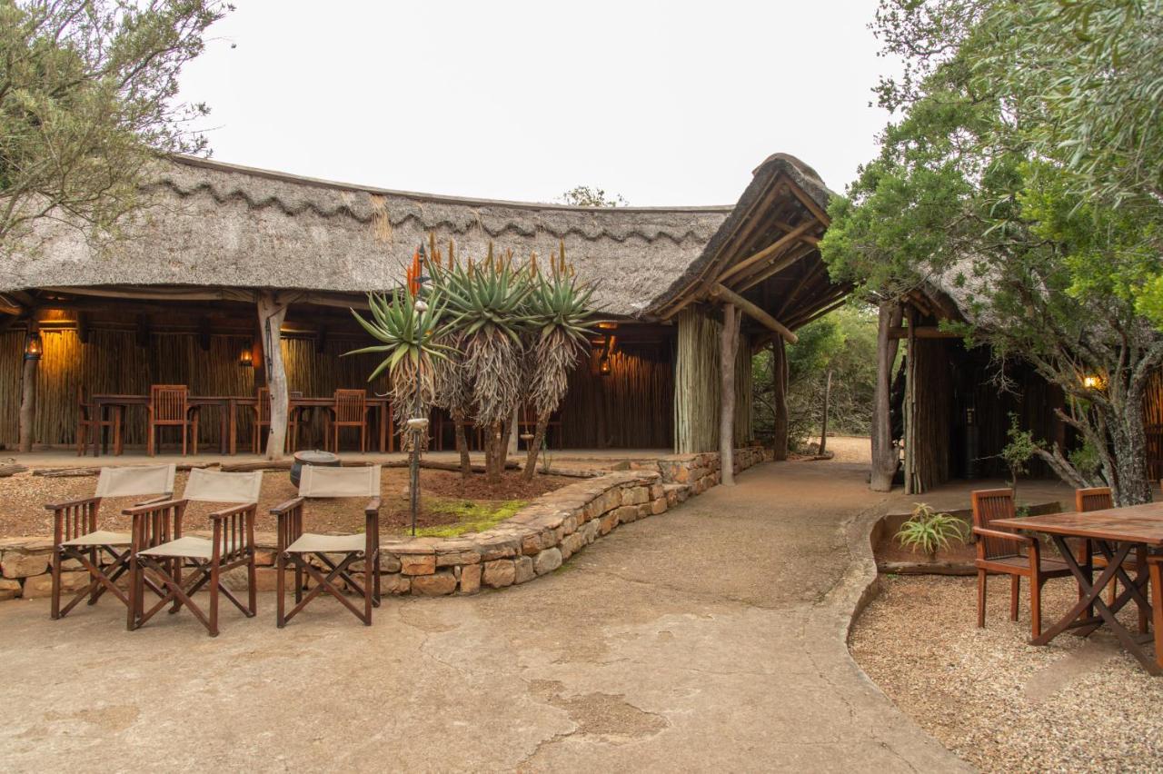 Pumba Private Game Reserve Grahamstown Extérieur photo