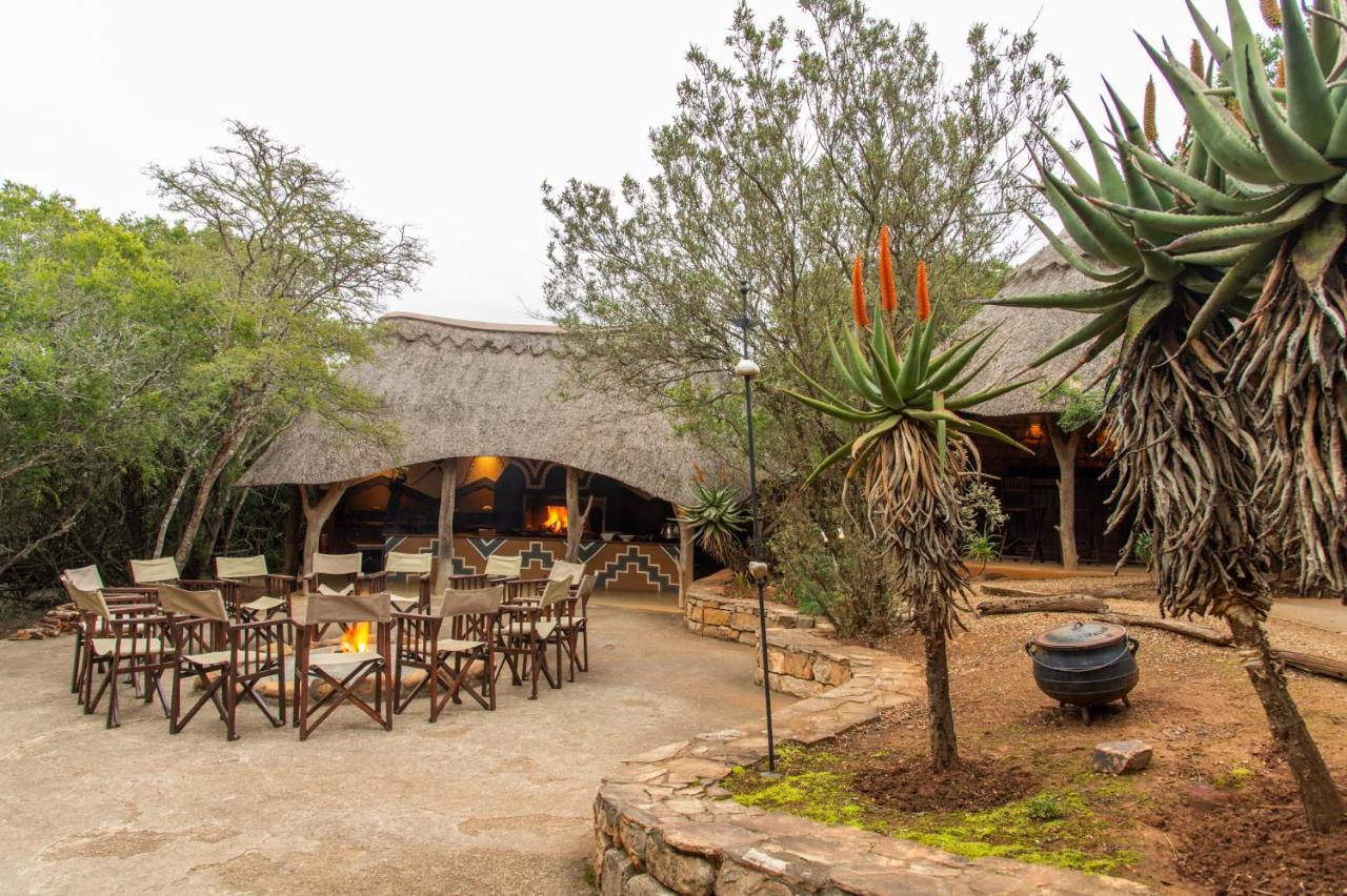 Pumba Private Game Reserve Grahamstown Extérieur photo