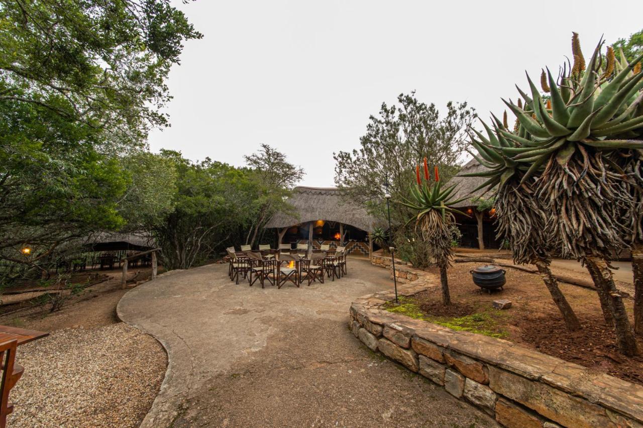 Pumba Private Game Reserve Grahamstown Extérieur photo