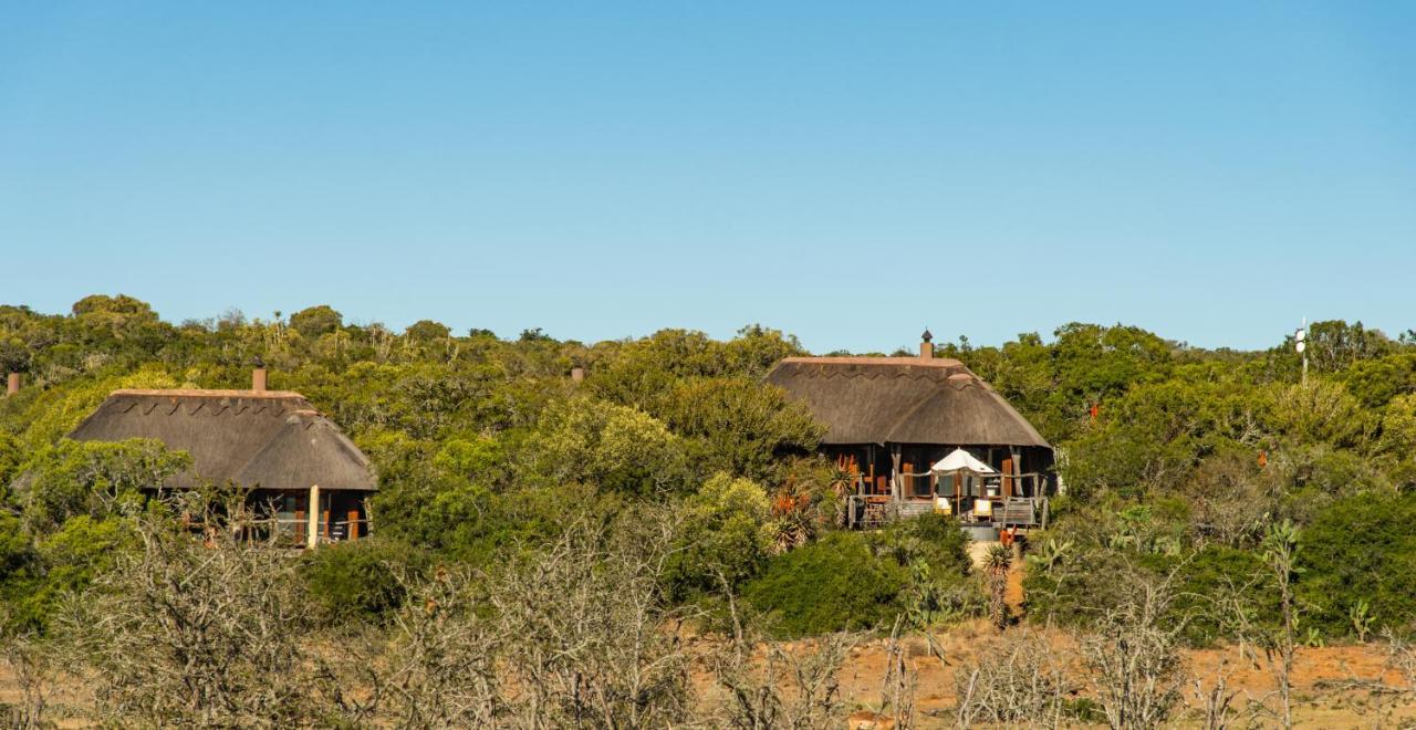 Pumba Private Game Reserve Grahamstown Extérieur photo