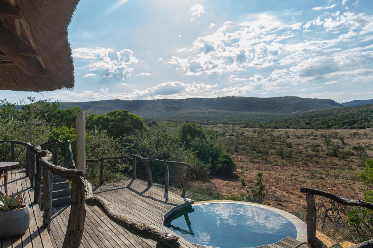 Pumba Private Game Reserve Grahamstown Extérieur photo